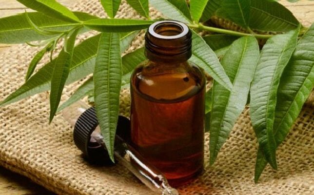 Tea tree oil - a folk remedy for getting rid of warts on the penis