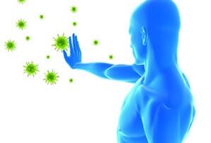 route of human papillomavirus transmission