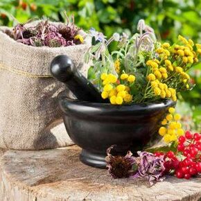 herbs to treat papilloma